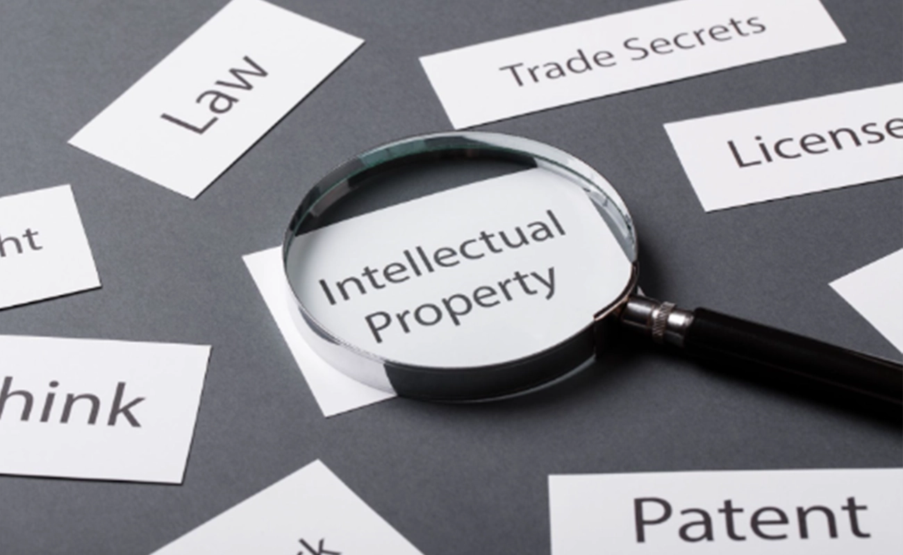 Protecting Your Innovations: A Guide to Intellectual Property Rights